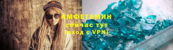 шишки Абаза