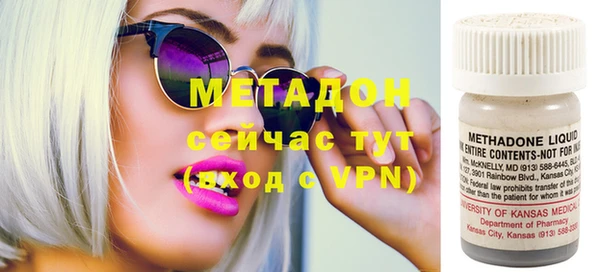 шишки Абаза