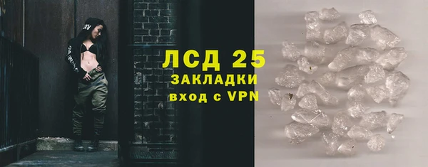 шишки Абаза