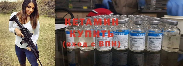 шишки Абаза
