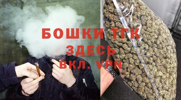 шишки Абаза