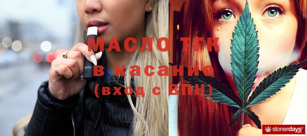 шишки Абаза
