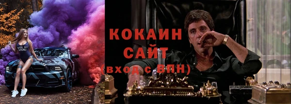 шишки Абаза