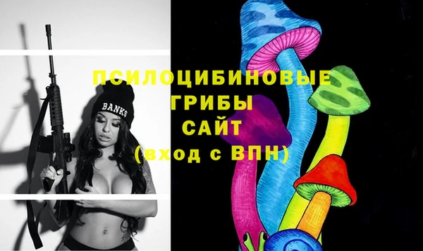 шишки Абаза