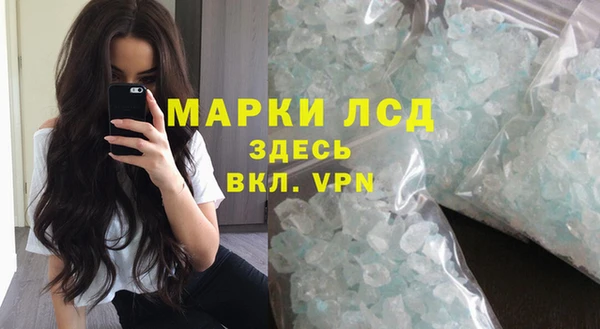 шишки Абаза